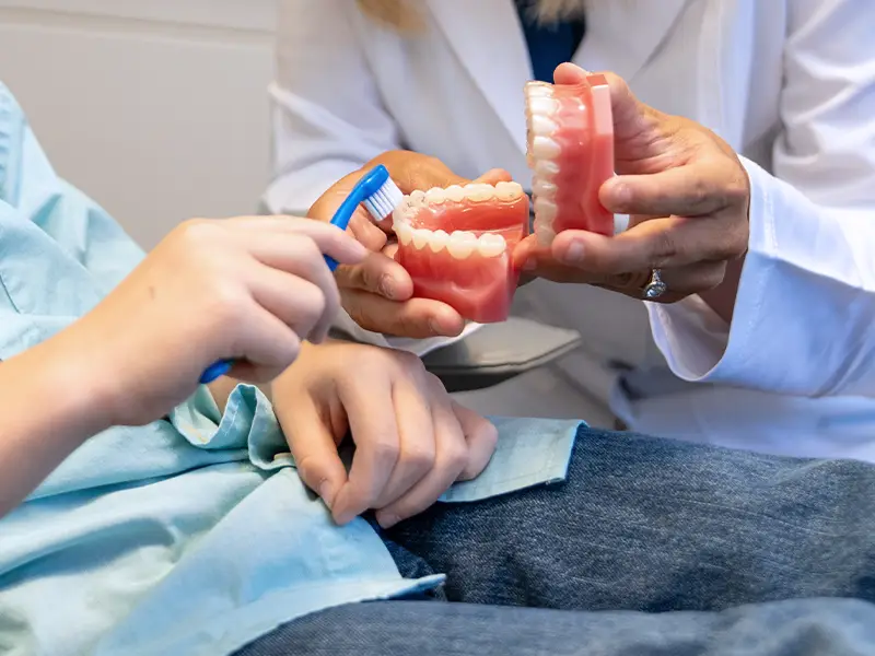 Dentist helping child with preventative care, brushing teeth of tooth model