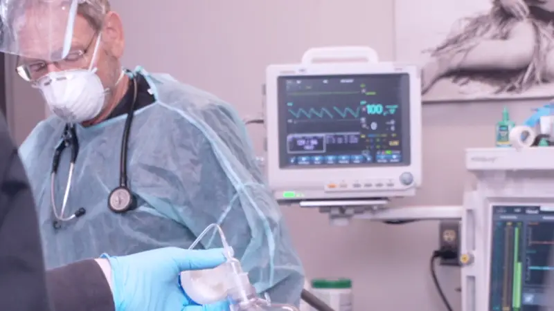 Dentist and anesthesiologist during a procedure at MFD